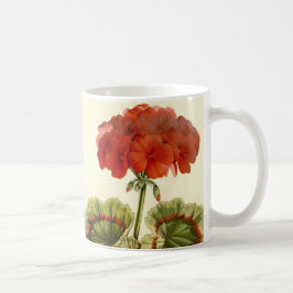 'Miss Pollack' Zonal Geranium Tasse