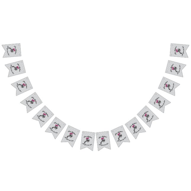 Miss Shifters Banner (Alle)