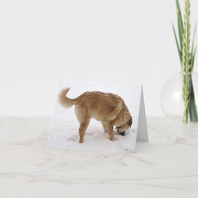 Miss Sie so viel, ich bin Schauspiel komisch - Wes Karte (Vorderseite)