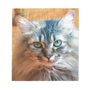 Miss Tootles Notizblock