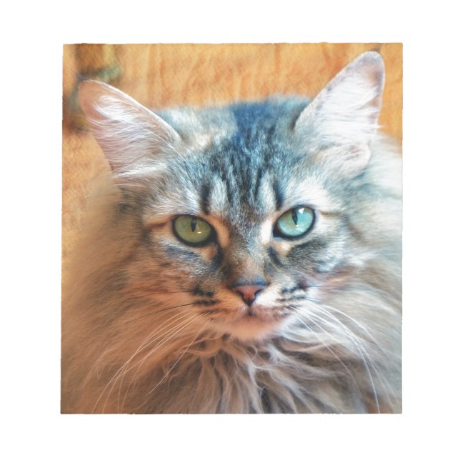 Miss Tootles Notizblock (Vorderseite)