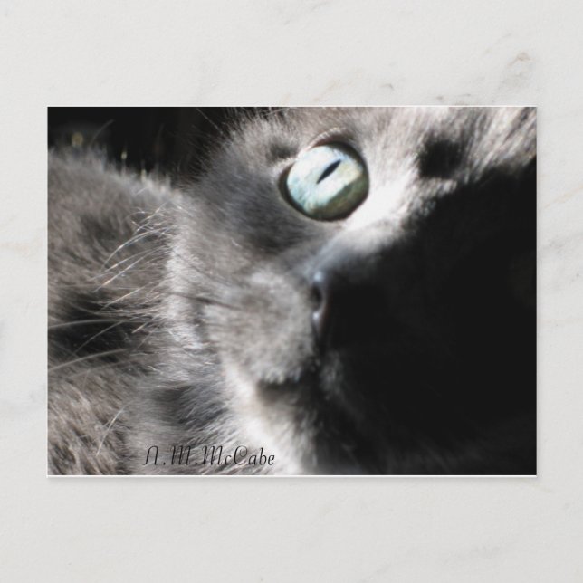 "Miss Wertvoll" Postkarte (Vorderseite)