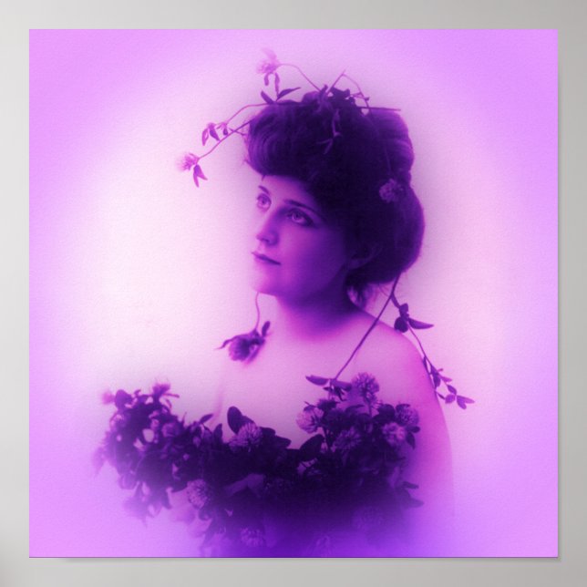 Miss Whitlock Lilac Poster (Vorne)