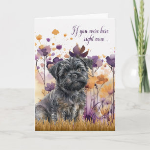 Miss You Affenpinscher Hund Wildblume Meadow Karte