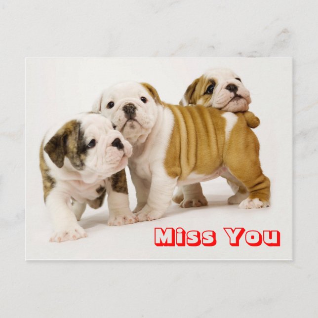 Miss You Bulldog Welpe Hund Gruß Postkarte (Vorderseite)