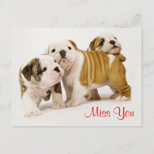 Miss You Bulldog Welpe Hunde Gruß Postkarte