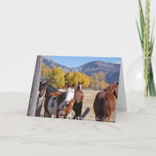 Miss You Friend Horses Western Kunst im Hochgebirg Karte