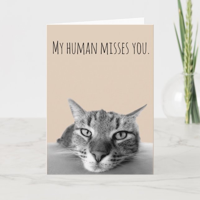 Miss You from Cat Funny Karte (Vorderseite)