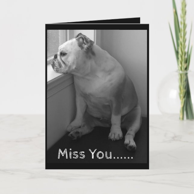 Miss You Greeting Card-Sad Bulldog Karte (Vorderseite)