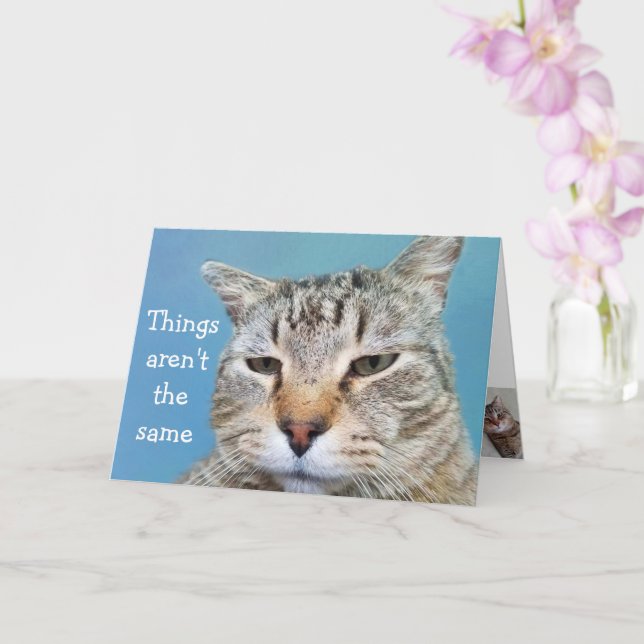 Miss You Lonely Cat Karte (Orchidee)