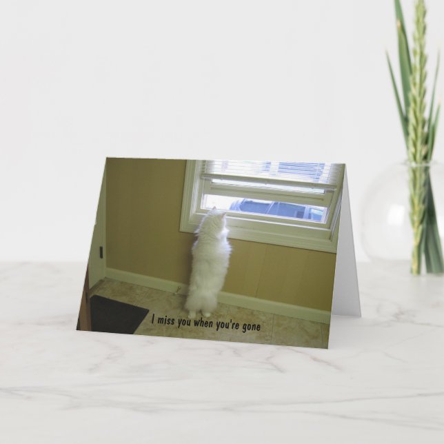 Miss You-No Tail Cat Karte (Vorderseite)