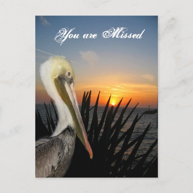 Miss You_ Postcard Postkarte (Vorderseite)