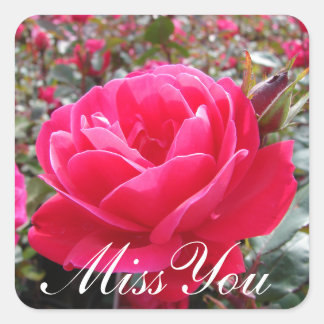 Miss You Romantic Pink Rose Stickers
