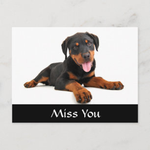 Miss You Rottweiler Puppy Dog Gruß Postkarte