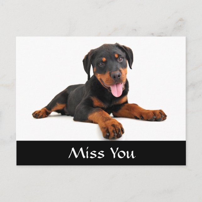 Miss You Rottweiler Puppy Dog Gruß Postkarte (Vorderseite)
