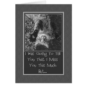 Miss You Stretching Kitty