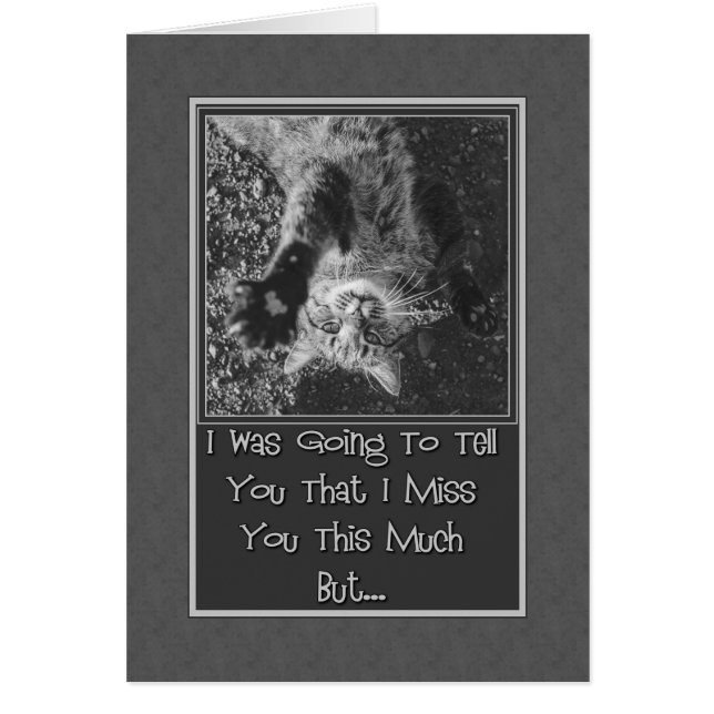 Miss You Stretching Kitty (Vorne)