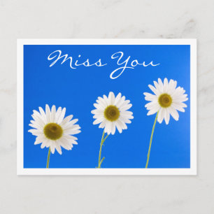 Miss You White Daisy Floral Grußkarte Postkarte
