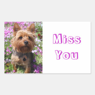 Miss You Yorkshire Terrier Puppy Dockers Rechteckiger Aufkleber