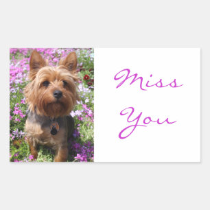 Miss You Yorkshire Terrier Puppy Dockers Rechteckiger Aufkleber