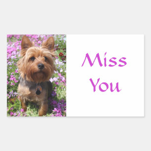 Miss You Yorkshire Terrier Welpe Hund Stickers