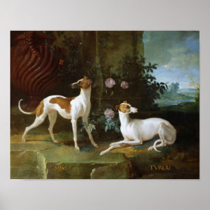 Misse und Turlu, zwei Windhunde Louis XV Poster
