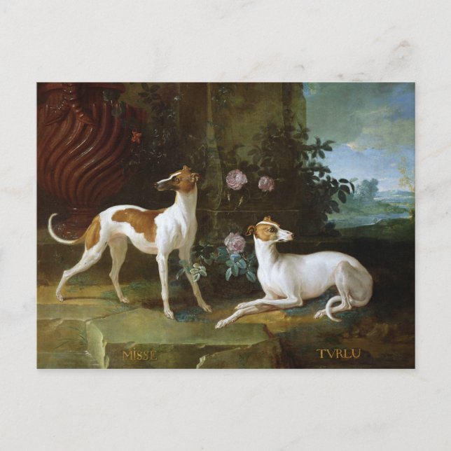 Misse und Turlu, zwei Windhunde von Louis XV Postkarte (Vorderseite)