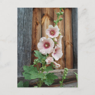 Misshandlung Postkarte