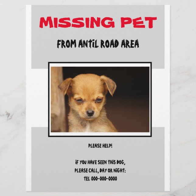 MISSING PET 02  FLYER POSTER (Vorne)