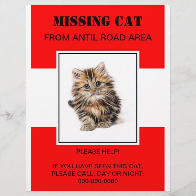 missing pet flyer,poster flyer (Vorne)