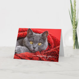 Missing You Gray Cat in a Red Knit Afghan Karte
