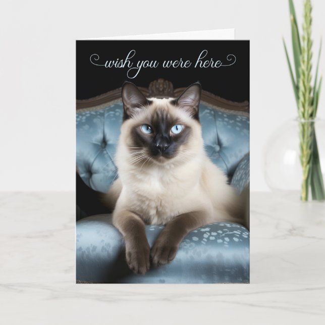 Missing You Siamese Cat on a Blue Chair Karte (Vorderseite)
