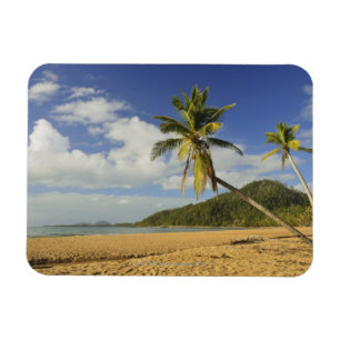 Mission Beach Magnet