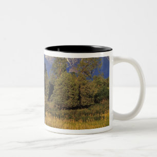 Mission Creek durchläuft das Nationale Bison Zweifarbige Tasse