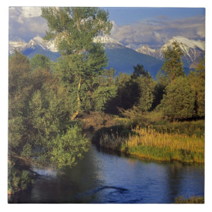 Mission Creek im National Bison Range in Fliese