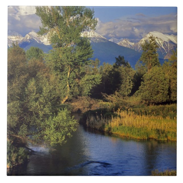 Mission Creek in der National Bison Range in Fliese (Vorderseite)