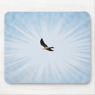 Mississippi Kite Hawk Bird Art Mouse Pad Mousepad