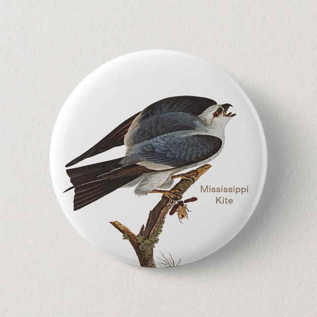 Mississippi Kite, John James Audubon Vogelbeobacht Button (Vorderseite)