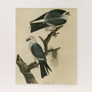 Mississippi Kite von Audubons Vögeln von Amerika Puzzle