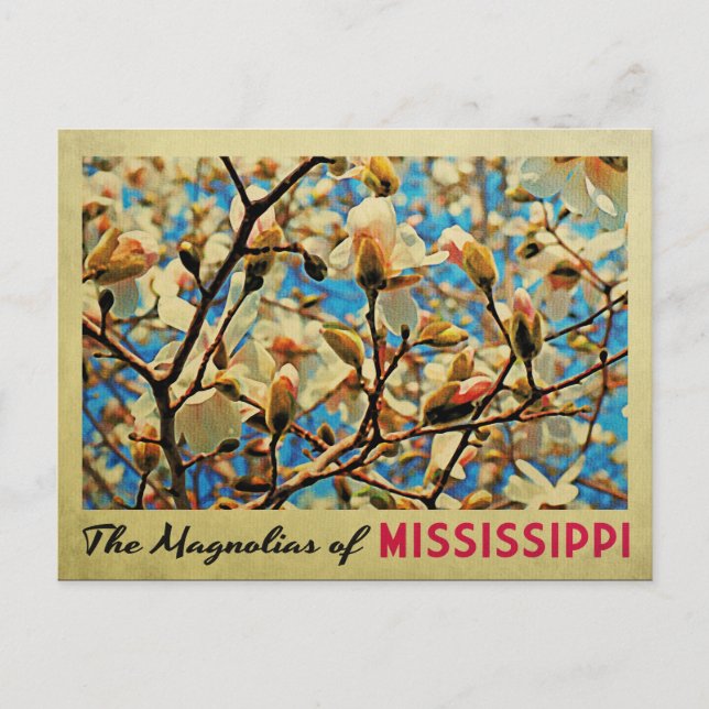 Mississippi Magnolias Postkarte (Vorderseite)