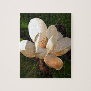 Mississippi-Magnolie Puzzle