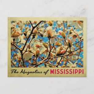 Mississippi-Magnolien Postkarte