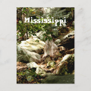 Mississippi Postkarte