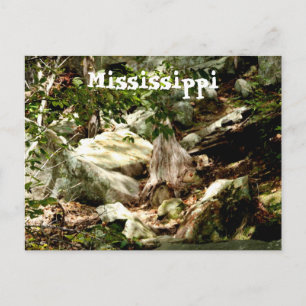 Mississippi Postkarte