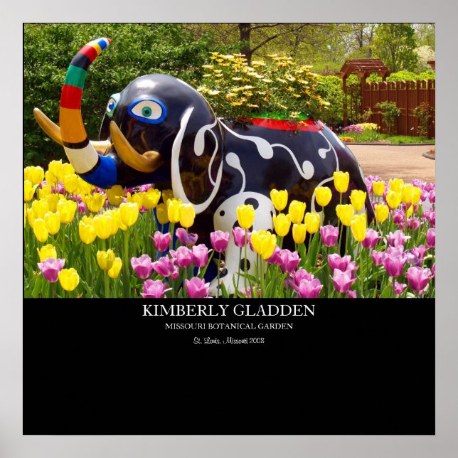 MISSOURI BOTANISCHER GARDEN POSTER (Vorne)