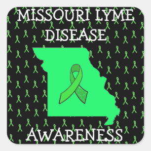 Missouri Lyme Disease Ribbons Awareness Stickers