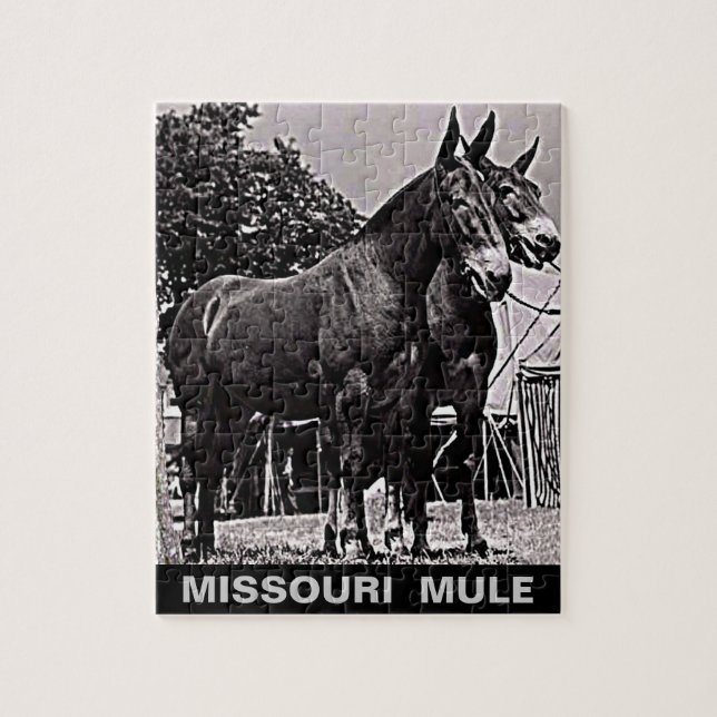 Missouri-Maultier Puzzle (Vertikal)