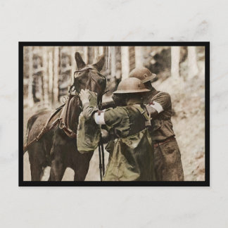 Missouri Mule in einer Gasmaske Feiertagspostkarte