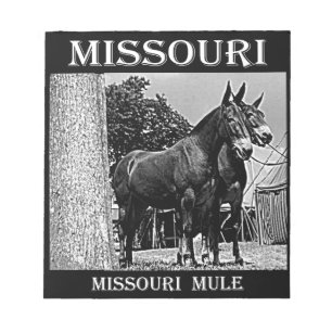 Missouri Mule Notizblock