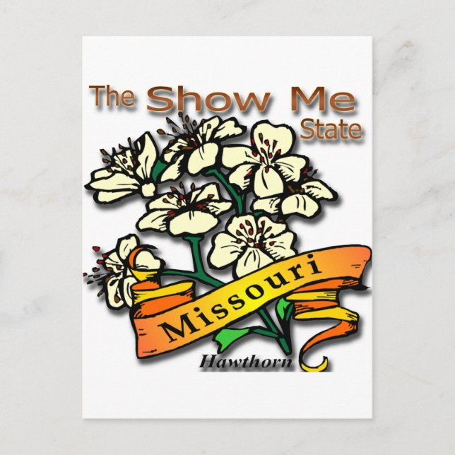 Missouri Show Me Staat Hawthorn Postkarte (Vorderseite)